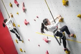 李霄鹏告别青岛海牛：战术调整与未来展望