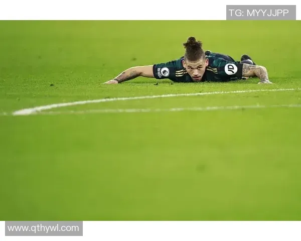 为什么不能乱碰（为何不宜随意触碰）